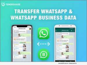 tenorshare icarefone for whatsapp transfer