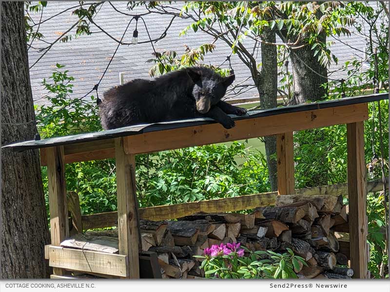 Newswire: Cooking with Bears? Cottage Cooking in Asheville Does It