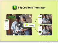 BlipCut Bulk Transfer