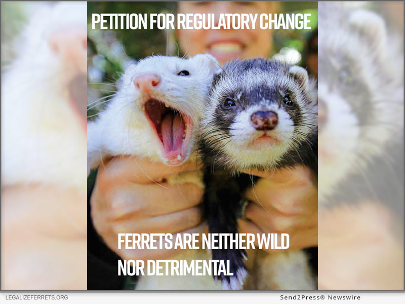 Newswire: Legalize Ferrets Pauses Lawsuit, Files Petition for Regulatory Change with California Office of Administrative Law