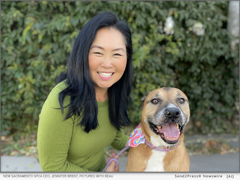 New Sacramento SPCA CEO, Jennifer Brent, pictured with Beau