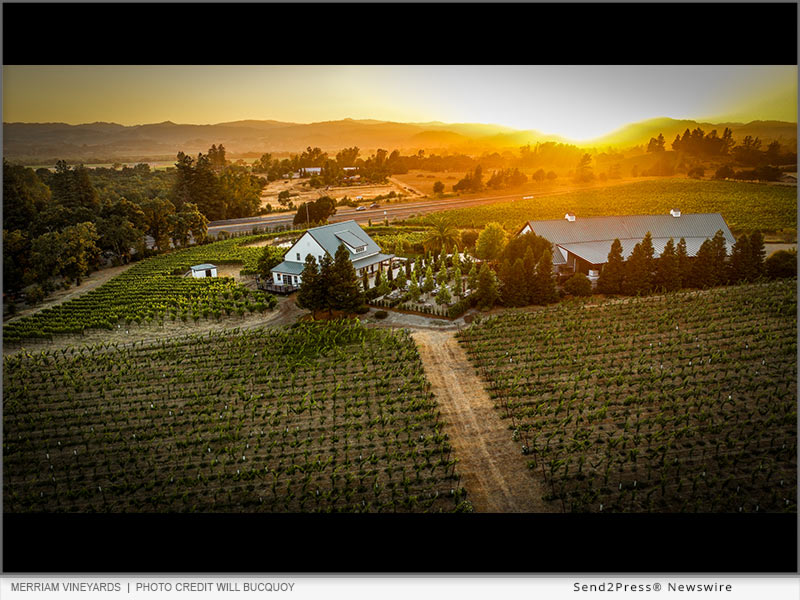 Merriam Vineyards - Photo credit Will Bucquoy