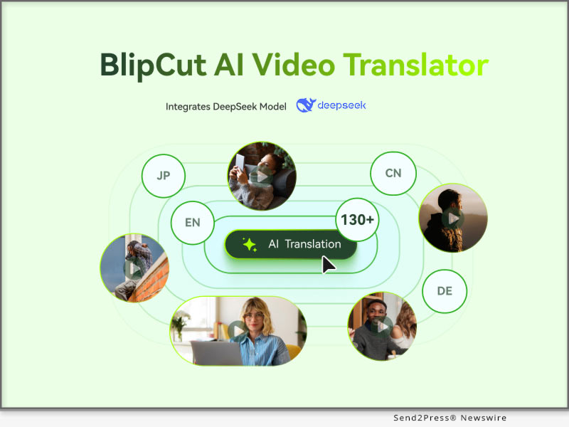 BlipCut DeepSeek translation