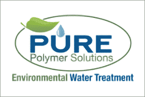 Pure Polymer Solutions